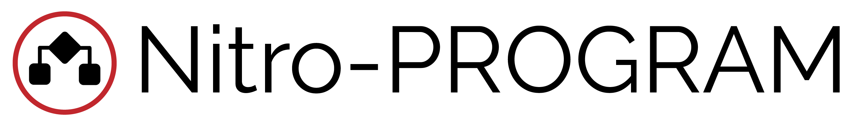 Nitro-PROGRAM Logo